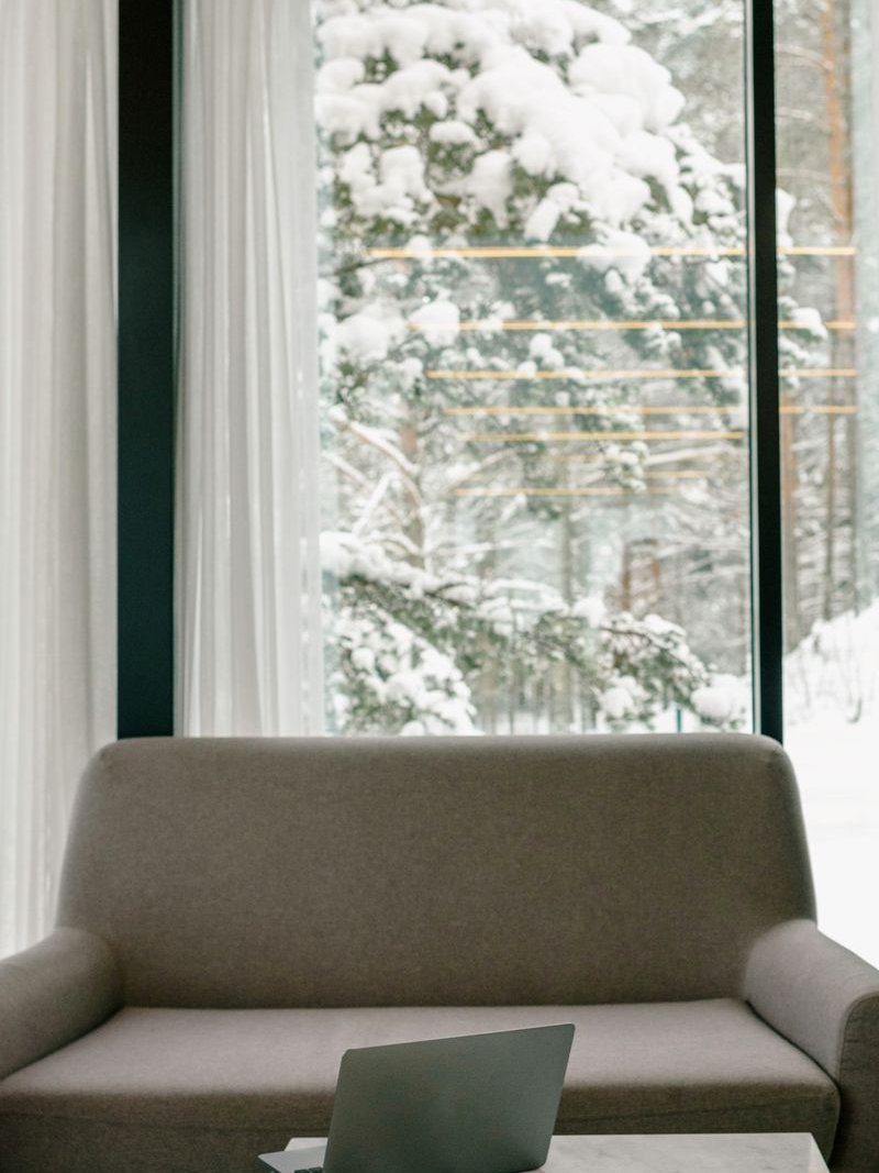 Sofa ir nešiojamas kompiuteris prie didelio lango, už kurio apsnigtos pušys